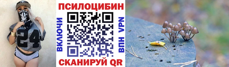 Псилоцибиновые грибы GOLDEN TEACHER  что такое наркотик  Бикин 